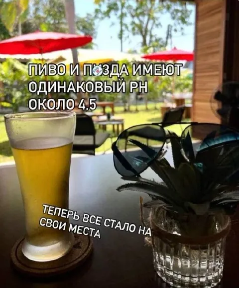 Пиво и пизда имеют одинаковый pH