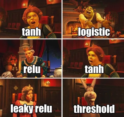Shrek Activation Functions