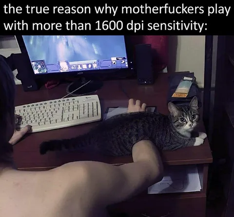 Cat Explains High DPI Sensitivity