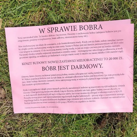Bóbr jest darmowy