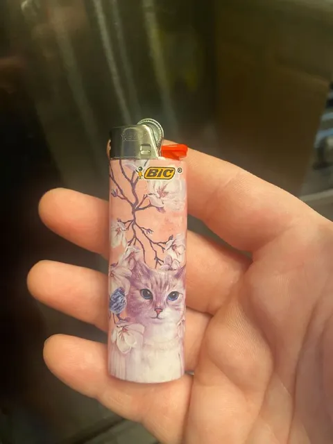 Котёнок на зажигалке