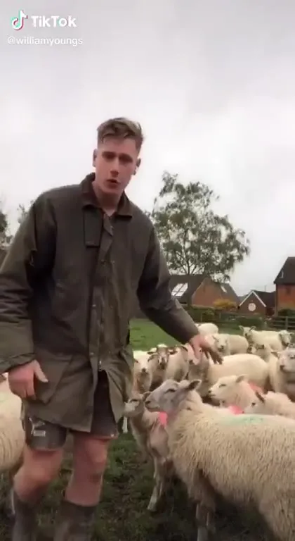 Tutorial on Picking Up a Sheep