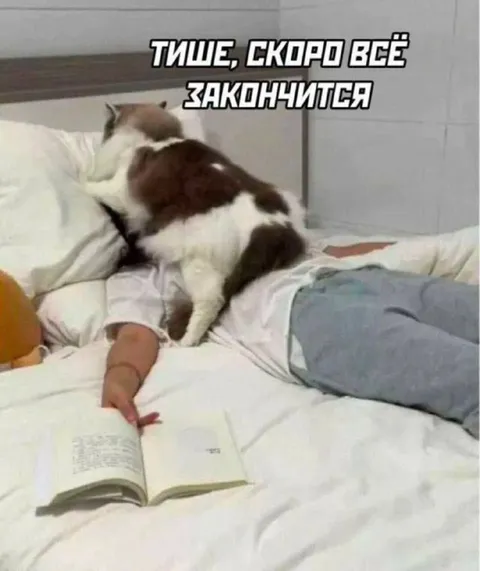 Тише, скоро всё закончится