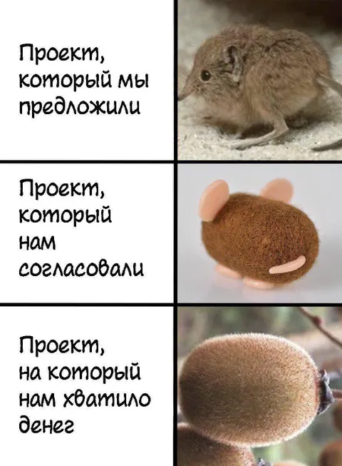 Проект, на который хватило денег