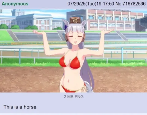 This Is a Horse