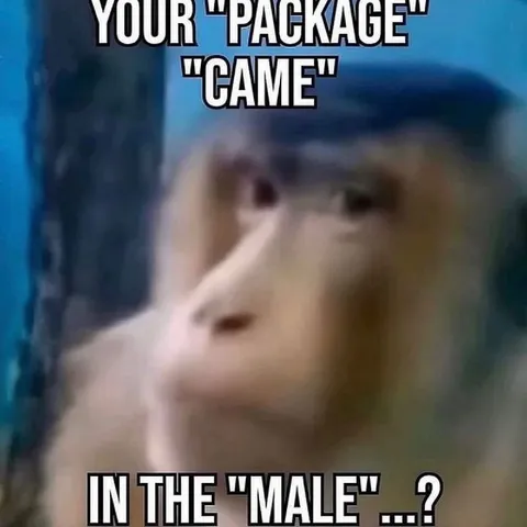 Package Came in the Male