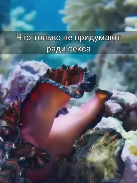 Что только не придумают ради секса