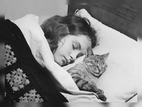 Сон с любимым котом