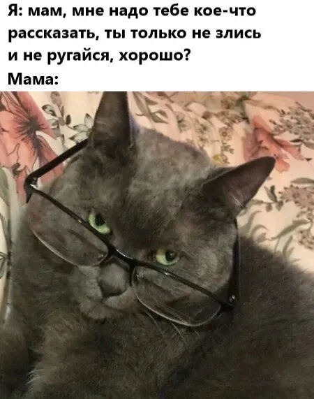 Мама всё уже поняла