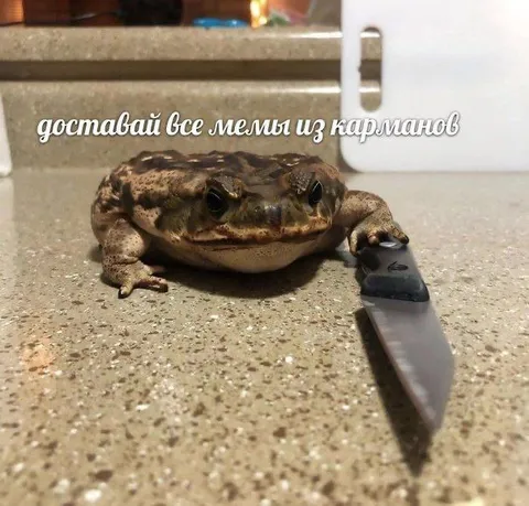 Доставай все мемы из карманов