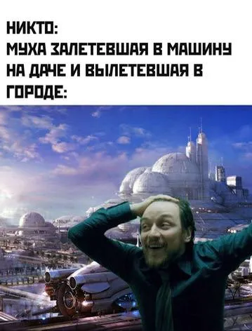 Муха вылетела в городе