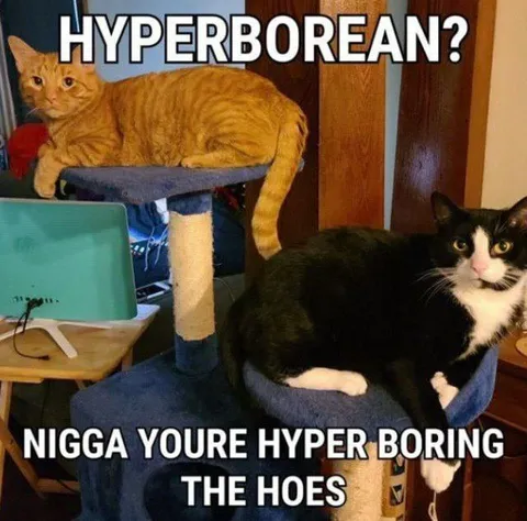 Hyperborean Cat Roast