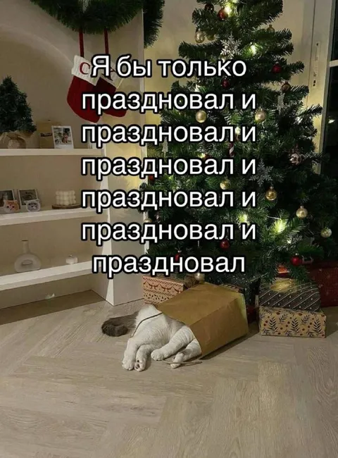 Кот бесконечно празднует
