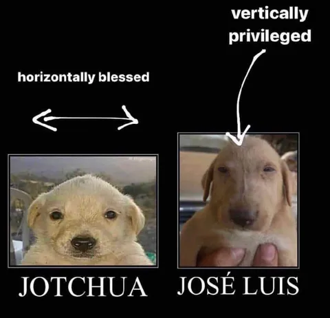 Horizontally Blessed, Vertically Privileged