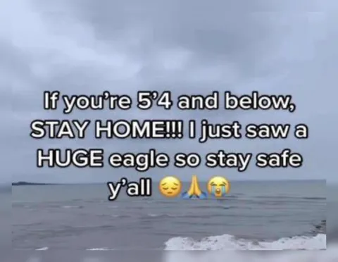 Short People Beware the Eagle
