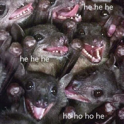 Bats Laughing Together