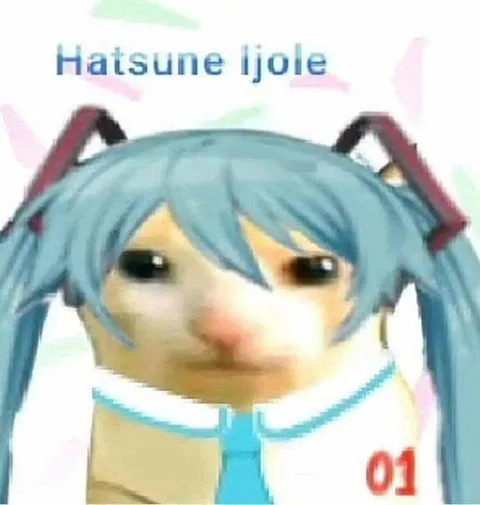 Hatsune Ijole Meme
