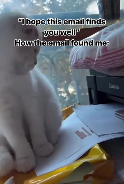 How the Email Found Me