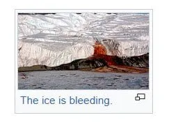 The Ice Is Bleeding