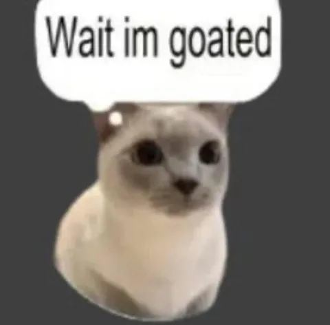Wait im goated cat