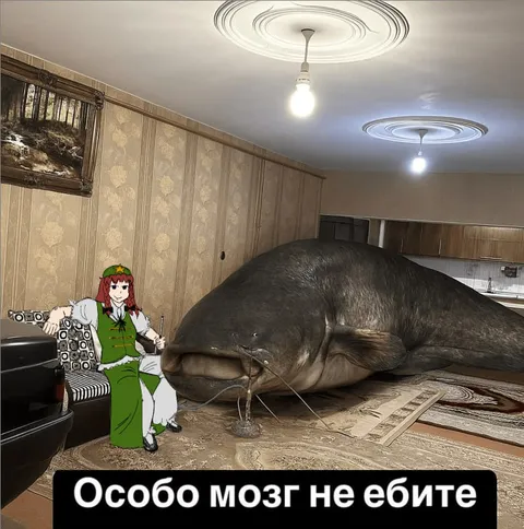 Особо мозг не ебите