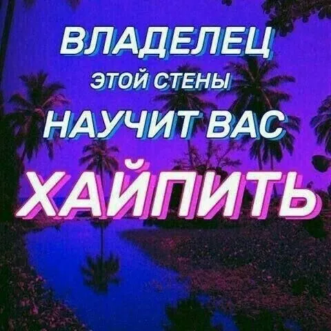 Владелец этой стены научит хайпить