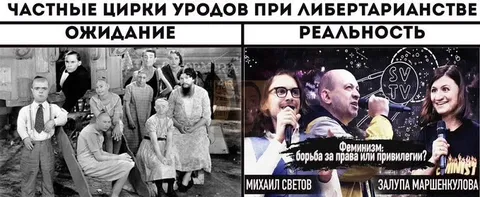 Частные цирки уродов при либертарианстве