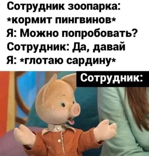 Съел сардину в зоопарке