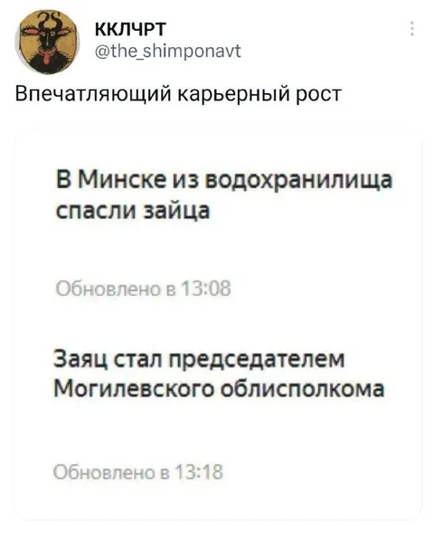 Заяц сделал карьеру