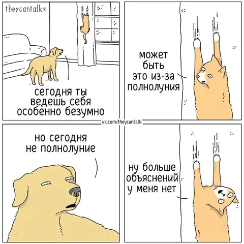Полная луна и безумное поведение