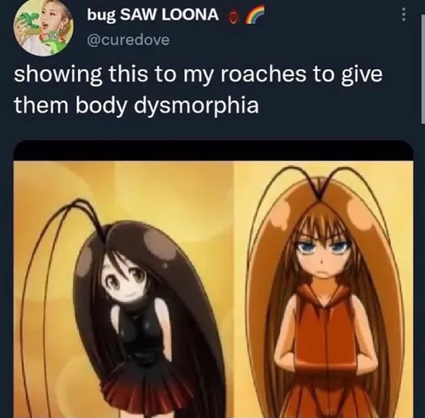 Roach Body Dysmorphia Meme