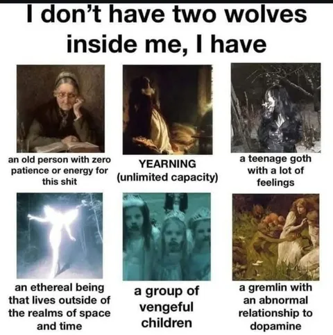 I Don't Have Two Wolves Inside Me