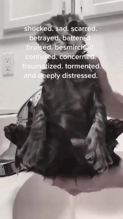 No Longer Poopy Smelling
