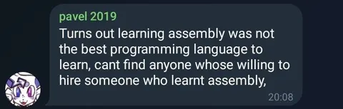 Learning Assembly Was a Mistake