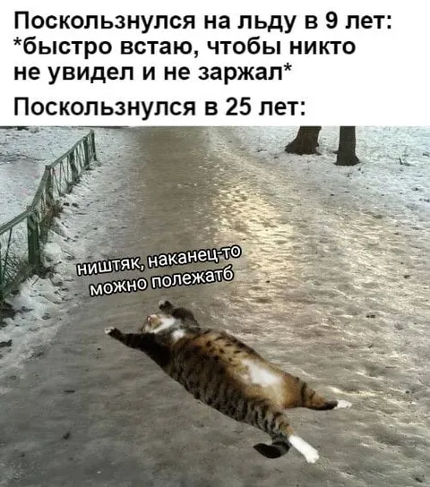 Кот поскользнулся на льду