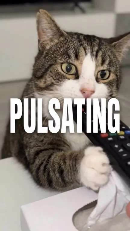 Cat Has the Poison and Remedy