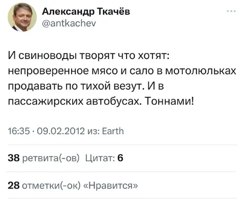 Свиноводы творят что хотят