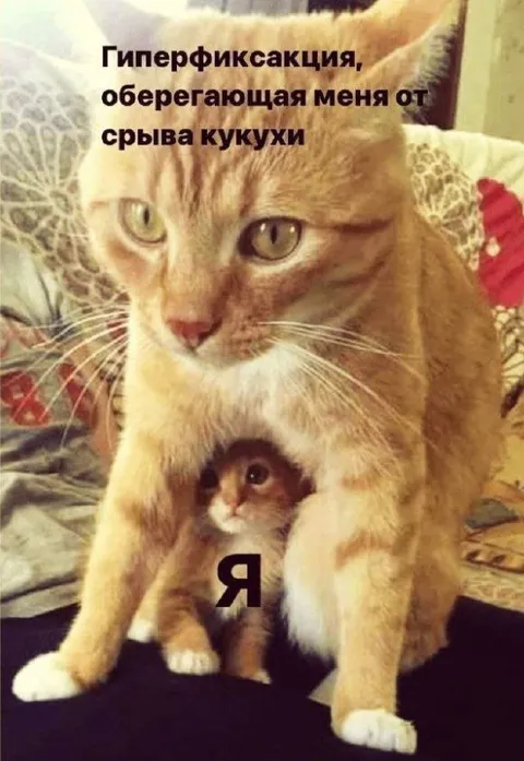 Гиперфиксация спасает от срыва