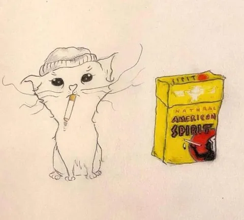 Cat Smoking American Spirit
