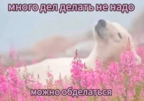 Много дел делать не надо