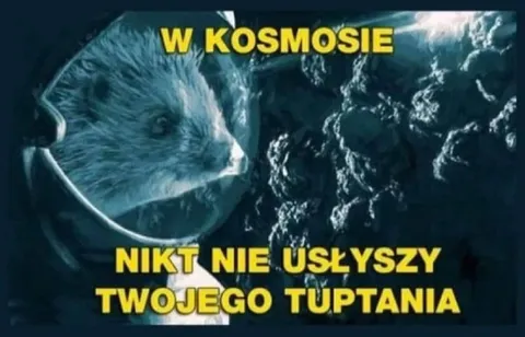 Nikt nie usłyszy twojego tuptania