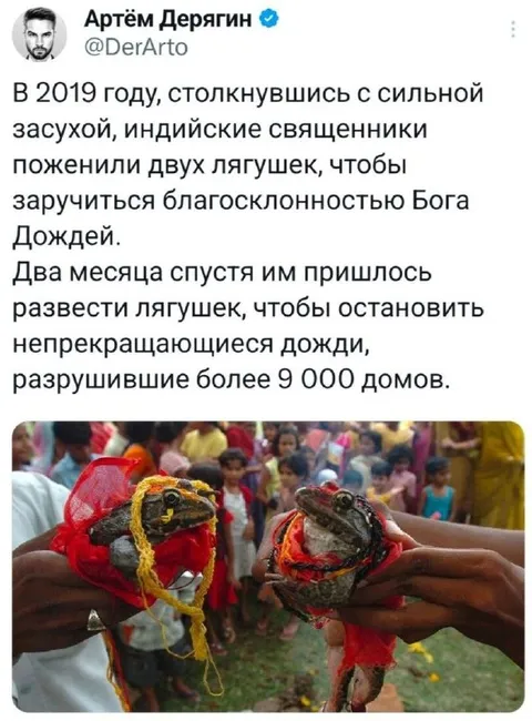 Свадьба лягушек против дождя