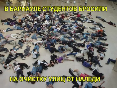 Студентов бросили на очистку улиц