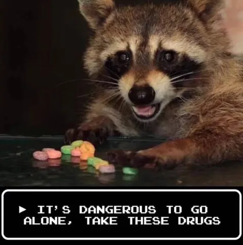 Dangerous To Go Alone Drugs