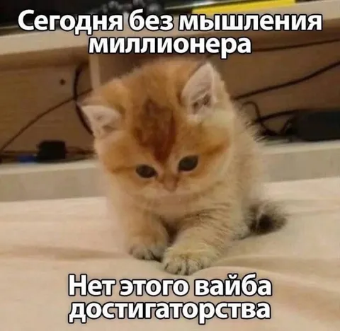 Котёнок без вайба достигаторства