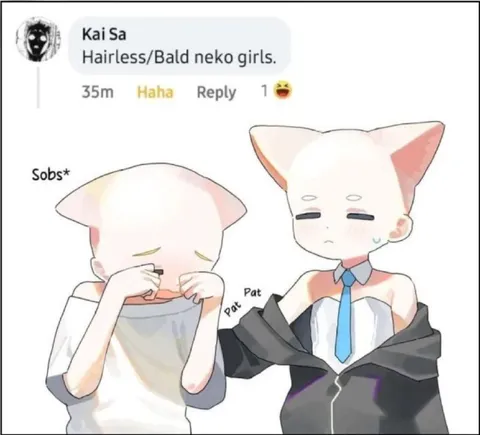 Bald Neko Girls Comfort Meme