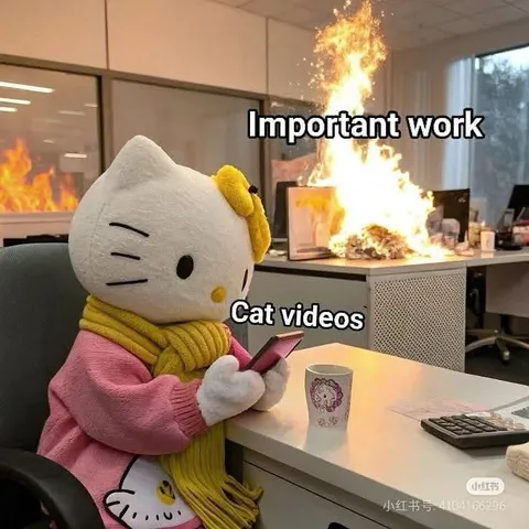 Cat Videos During Important Work