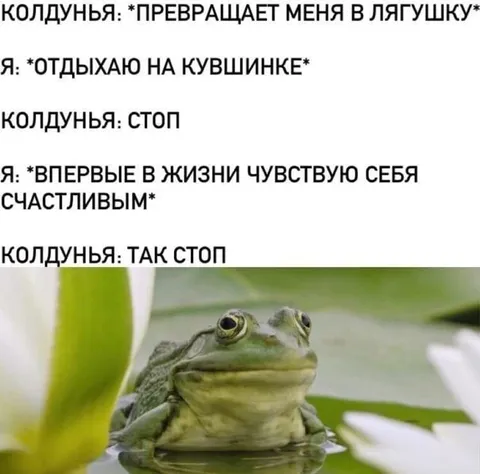 Лягушка впервые счастлива