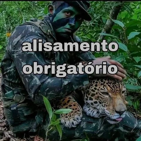 Alisamento obrigatório na selva