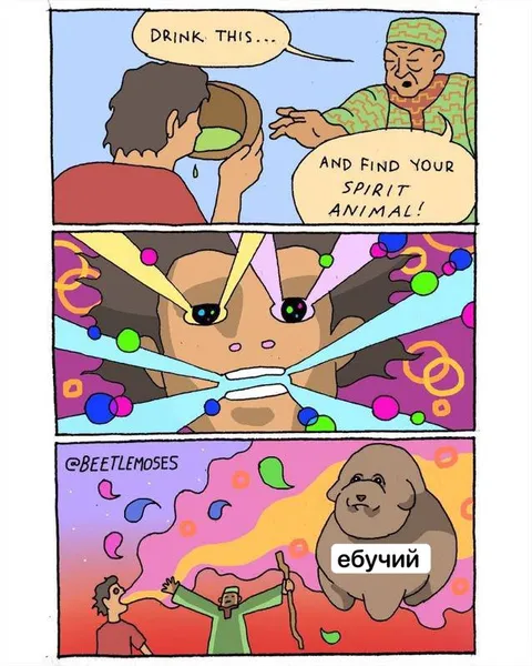 Find Your Spirit Animal